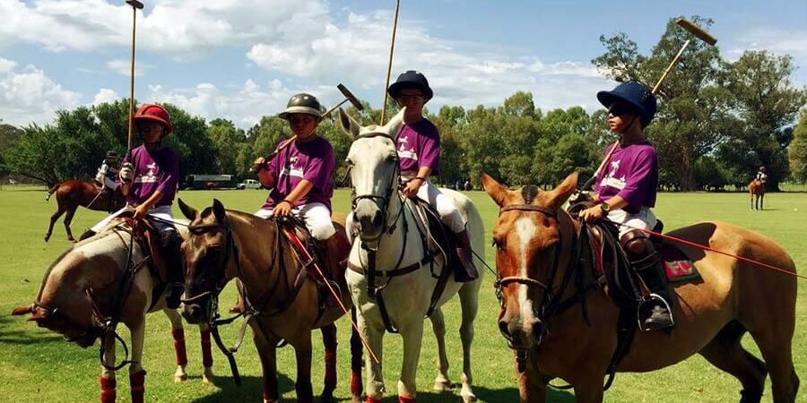 horses5 Young Polo Players on horses