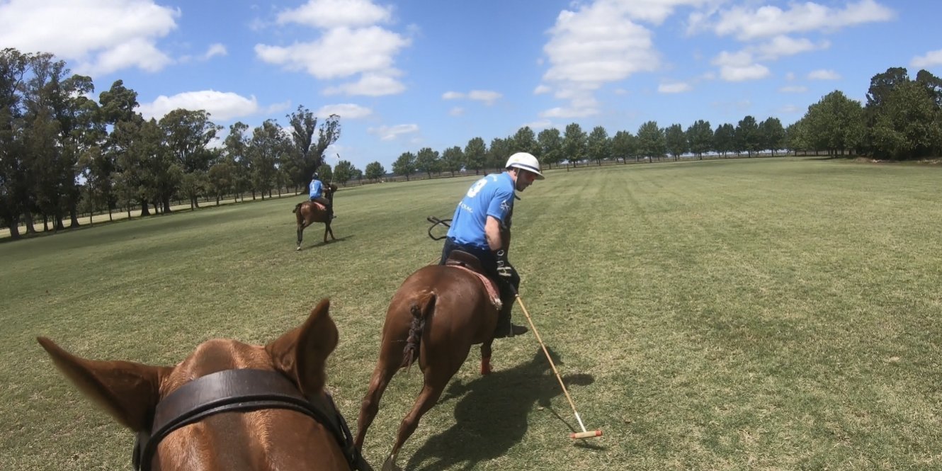 Spanish for Polo Player