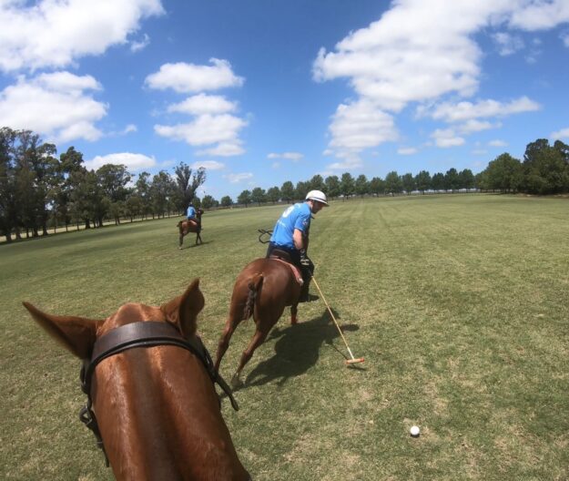 Spanish for Polo Player Spanish for Polo Player