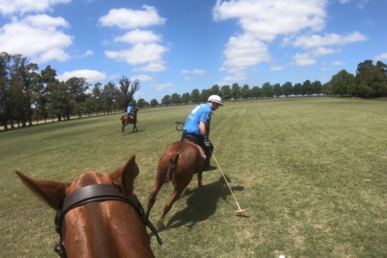 Spanish for Polo Player