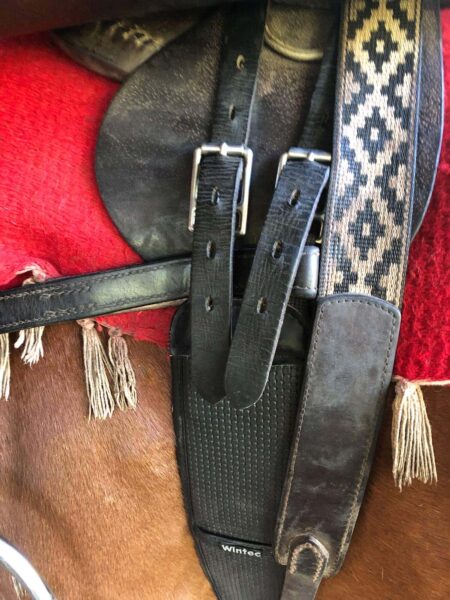 POLO GEAR: EQUIPMENT FOR HORSE & RIDER POLO GEAR: EQUIPMENT FOR HORSE & RIDER