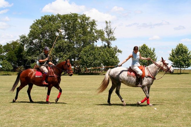 Fitness for Polo