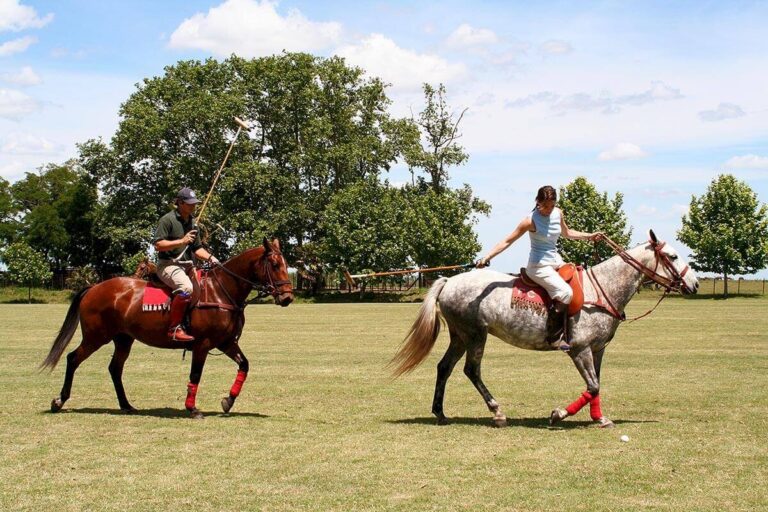 Fitness for Polo
