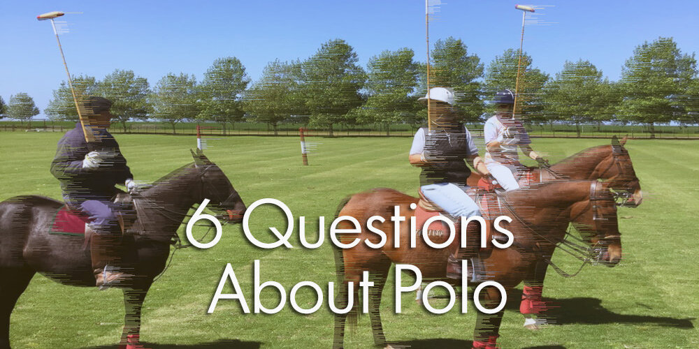 6 Questions about polo - play polo