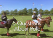 6 Questions about polo - play polo