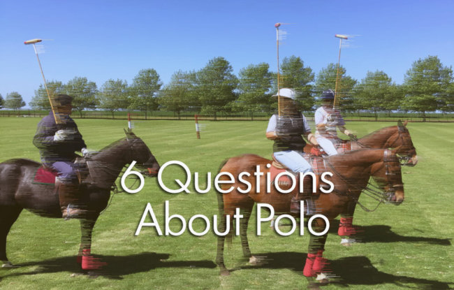 6 Questions about polo - play polo