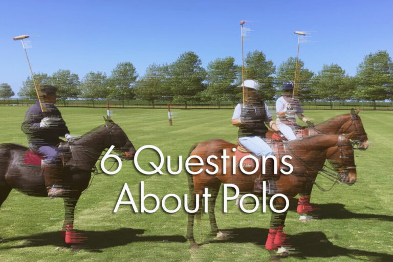 6 Questions about polo - play polo
