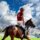 Polo Holidays - Imagen de Shahabaz Poonthala en Pixabay