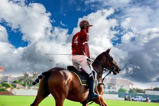Imagen de Shahabaz Poonthala en Pixabay Polo Holidays - Imagen de Shahabaz Poonthala en Pixabay