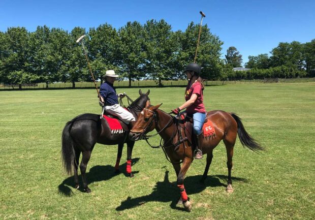Stick and ball practice over polo horses