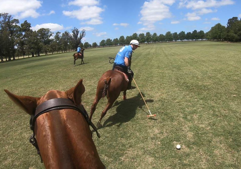 players riding along the polo field over horses