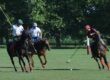 Players playing polo over horse at El Venado