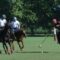 Players playing polo over horse at El Venado