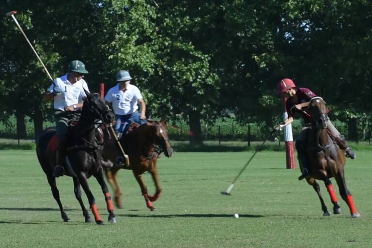 Players playing polo over horse at El Venado
